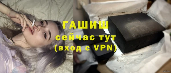 эйфоретик Богданович