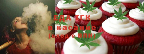 гидра Богородск