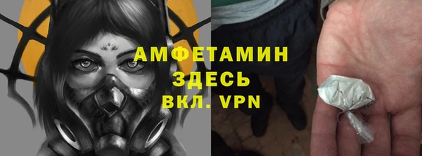 спиды Богородицк
