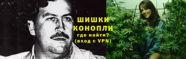 гидра Богородск