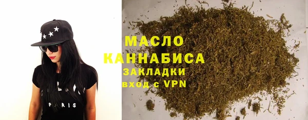 гидра Богородск