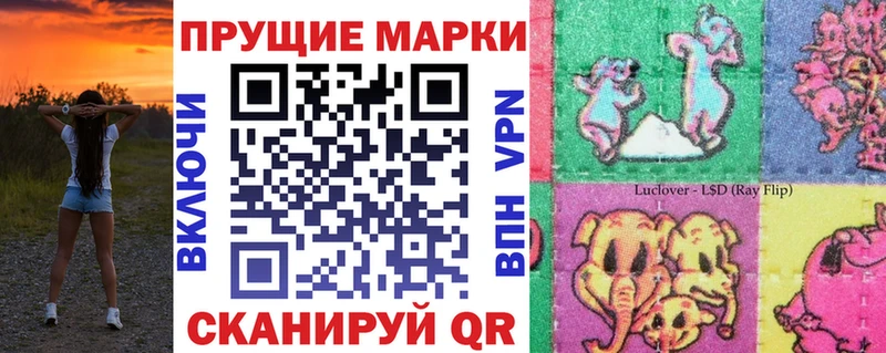 darknet Telegram Кодинск Марки 25I-NBOMe 1,5мг
