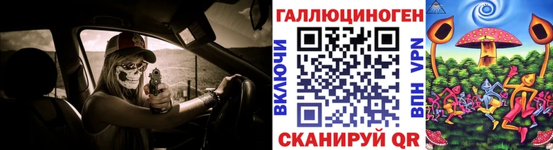 где можно купить   Кодинск  Псилоцибиновые грибы Psilocybine cubensis 